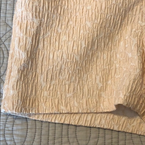 Shorts - Picture 3 of 5